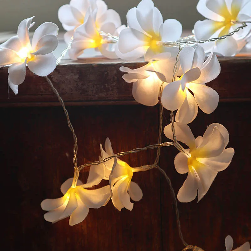 Handmade 3M 20LED frangipani String Lights USB Powered floral fairy lights,Event Party garland decorations,Bedroom Home decor Handmade 3M 20LED frangipani String Lights USB Powered floral fairy lights,Event Party garland decorations,Bedroom Home decor