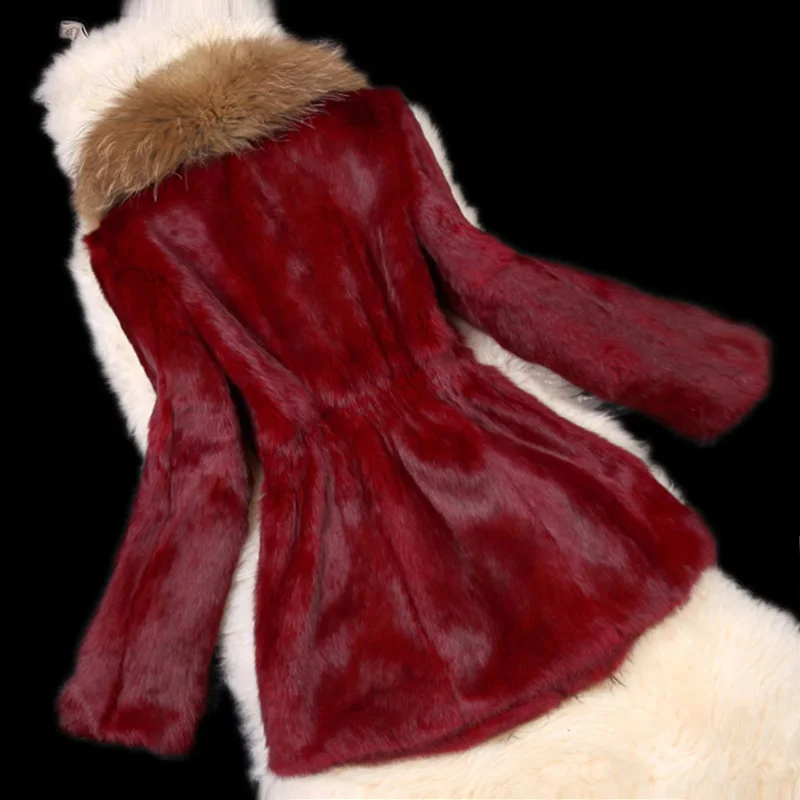 VF0084 (4)