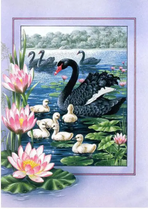 QQ20190510203622