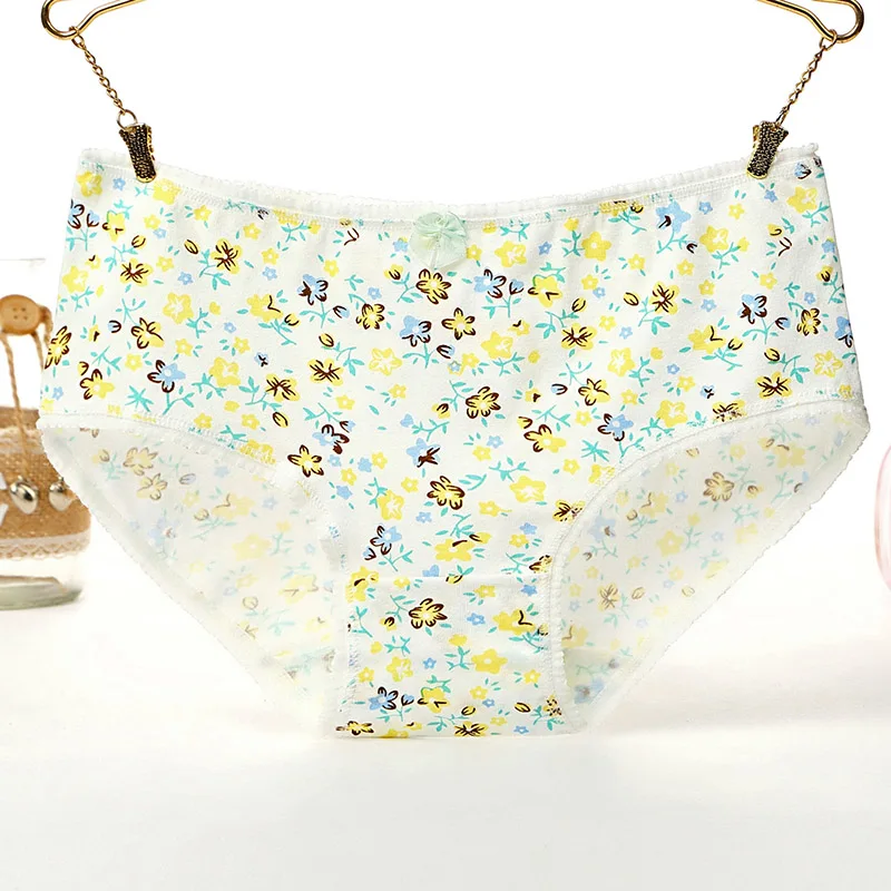 CherLemon 5 шт./лот Для женщин дышащие хлопковые трусы Симпатичные Pattern ананас Hipster Brief
