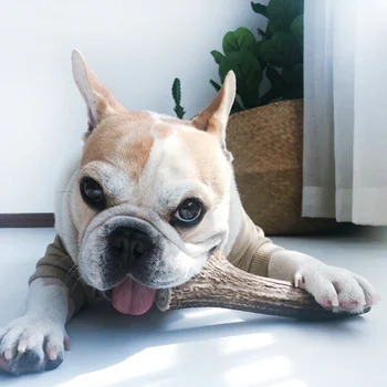 

Pet Toy Natural Antlers, Dog Bite-resistant Chew Toy Durable Bone for Deeply Cleaning Teeth Bite-resistant Chew Toy Cleaning