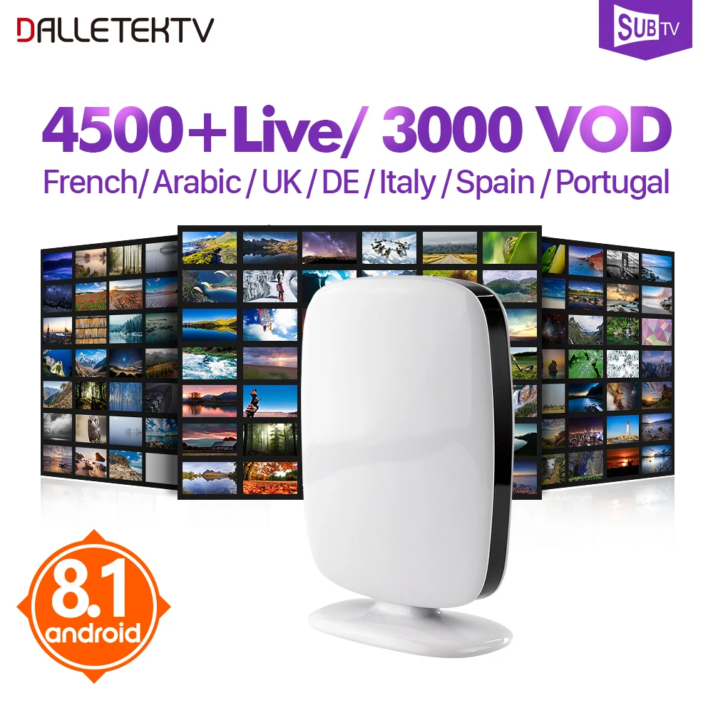 

France Belgium IPTV Box Android 8.1 R9 with SUBTV IPTV Channels France Belgium Arabic Portugal Turkey Canada IPTV Subscription