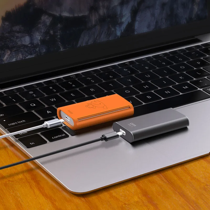 Koop DM FS300 Externe Solid State Drives 256 GB 512 GB 1 TB Draagbare SSD Externe harde schijf hdd voor laptop met Type C USB 3.1 GRIJS
