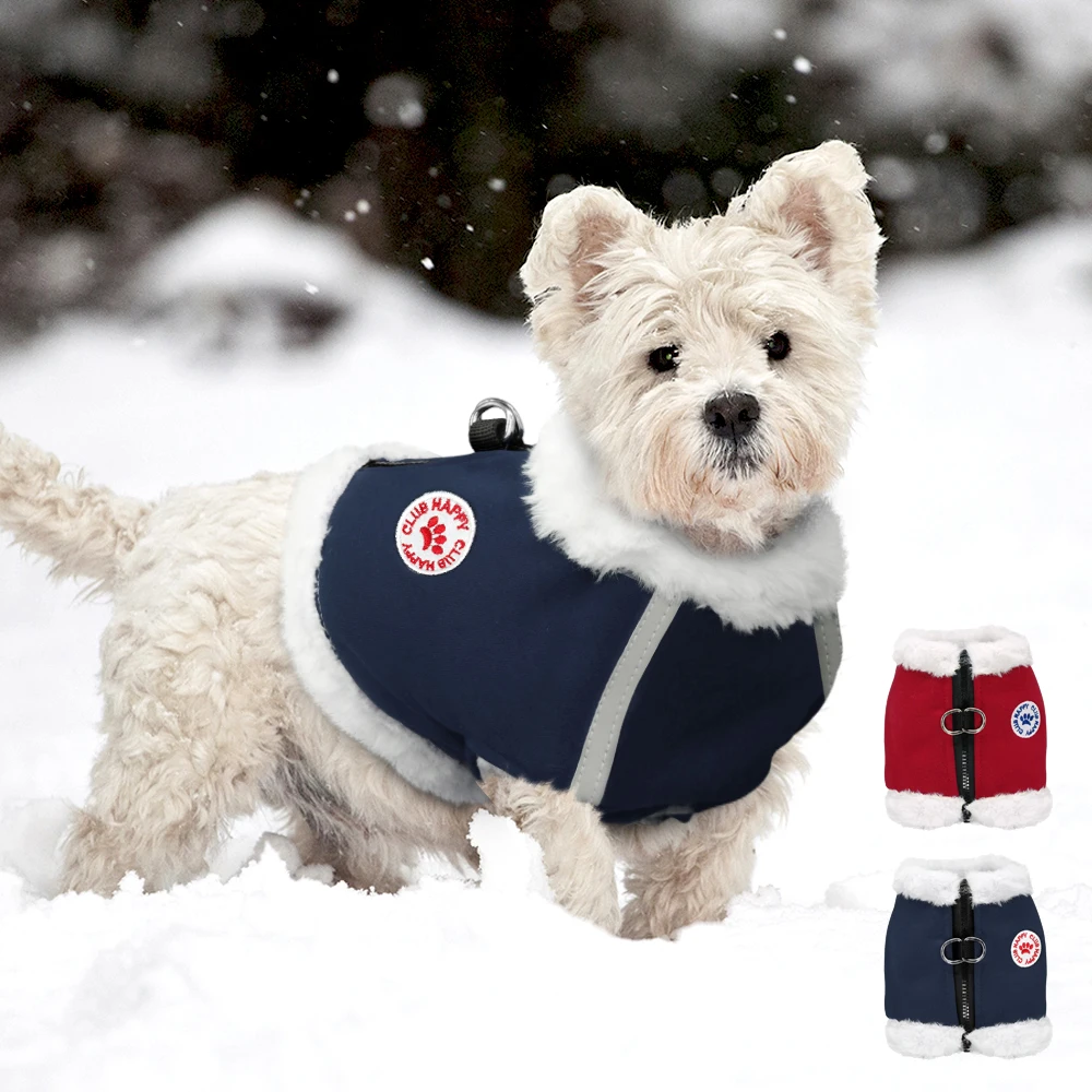 yorkie harness vest
