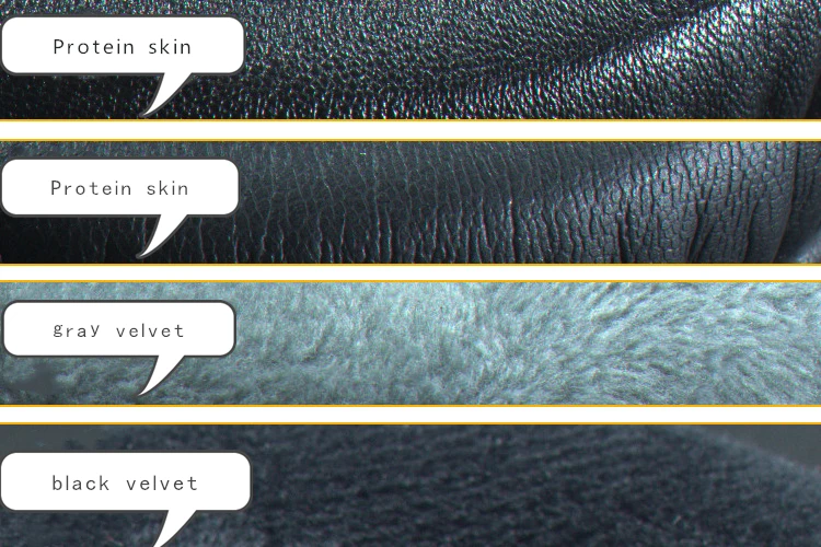 1 - 10286637709_1416736846_