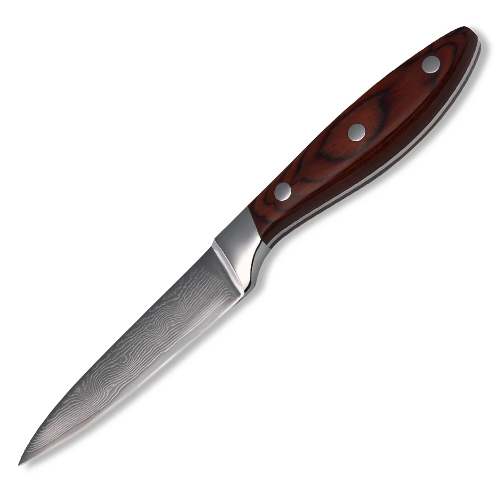 HOT Brand 3.5 Inch Fruit Damascus Knife Japanese VG10 Damascus Steel Kitchen Knife Color Wood Handle Sharp Blade Knife Tools