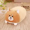 30cm dog