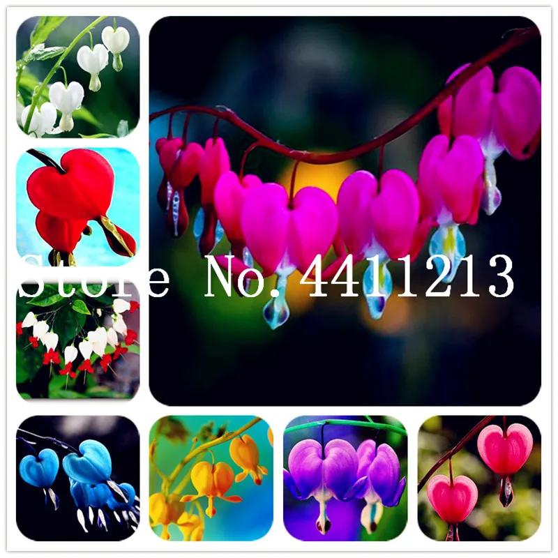

100 Pcs Lily Of The Valley Flower Bonsai, Bell Orchid flower, Rich Perfume, Bonsai Flowers plant, Multi-colored Orchids