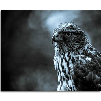 

Diamond Painting Cross-Stitch animalembroidery close up picture of rhinestones mosaic with crystal needlework eagle CQ700