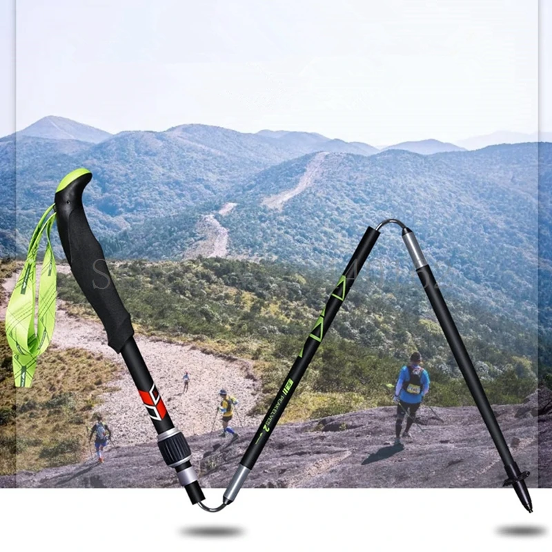 TP063 walking sticks (1)