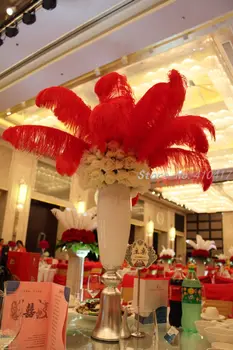 

100pcs/lot Red Color Ostrich Plumes Feathers 35-40cm/14-16inches For Weeding Party Performance DIY