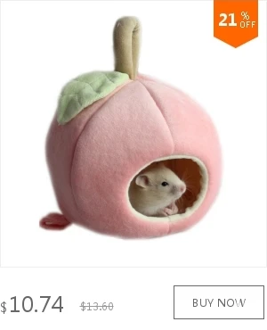 dianxiaobao