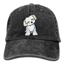 Милые Мальтийский щенок. PNG унисекс Бейсбол Кепки печатных Регулируемая оснастки назад шляпа