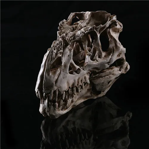 

Newest Collectibles light color Tyrannosaurus Rex dinosaur Resin Fossil skull Model 15*11.5*8cm