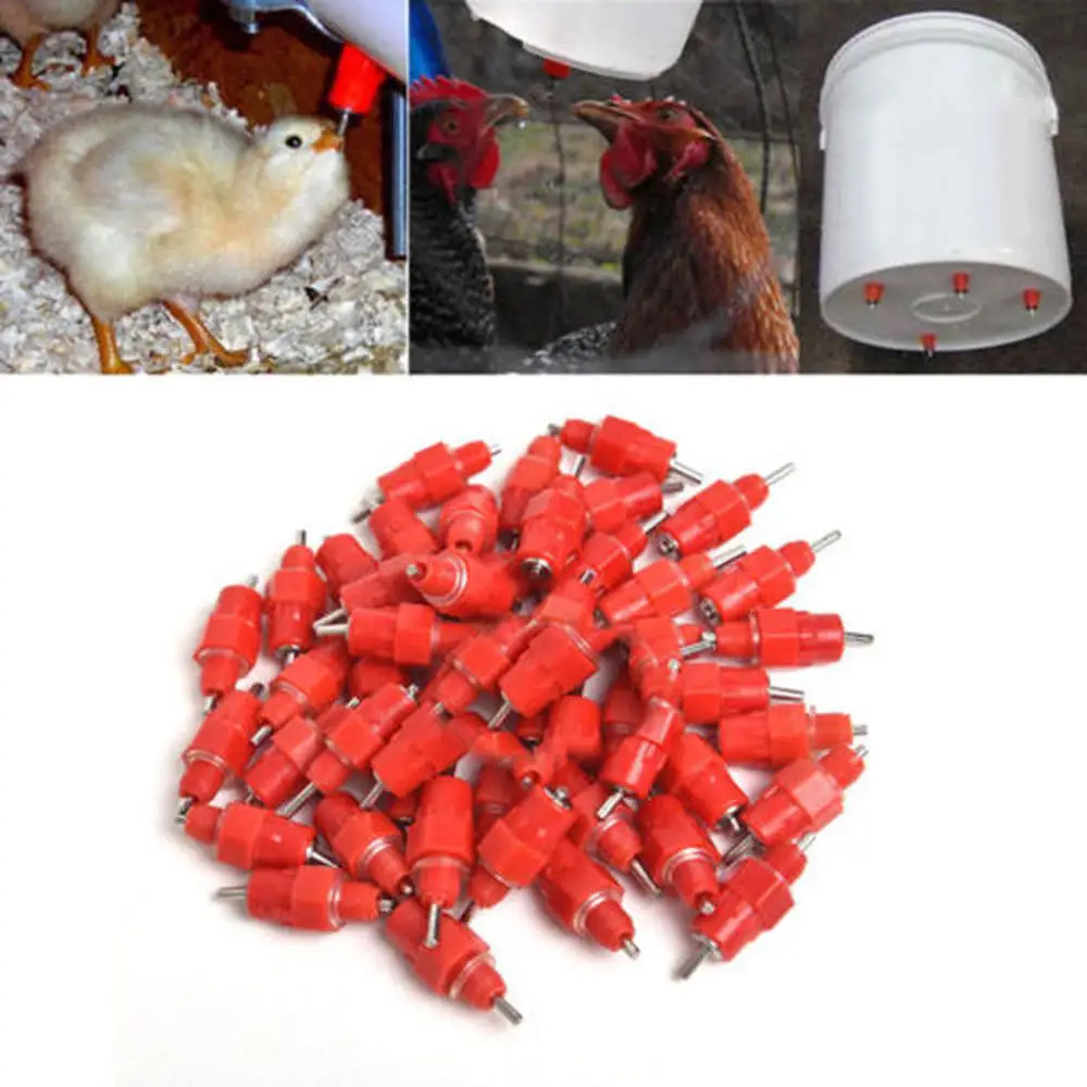 

30PCS Chicken Water Feeder Poultry Nipple Automatic Drinker Duck Hen Screw Style Drinking Equipment for Household