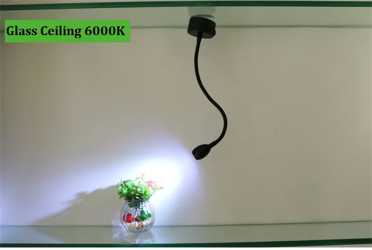 O1CN01ZWetZw1dnjztJa1S5_!!135773781