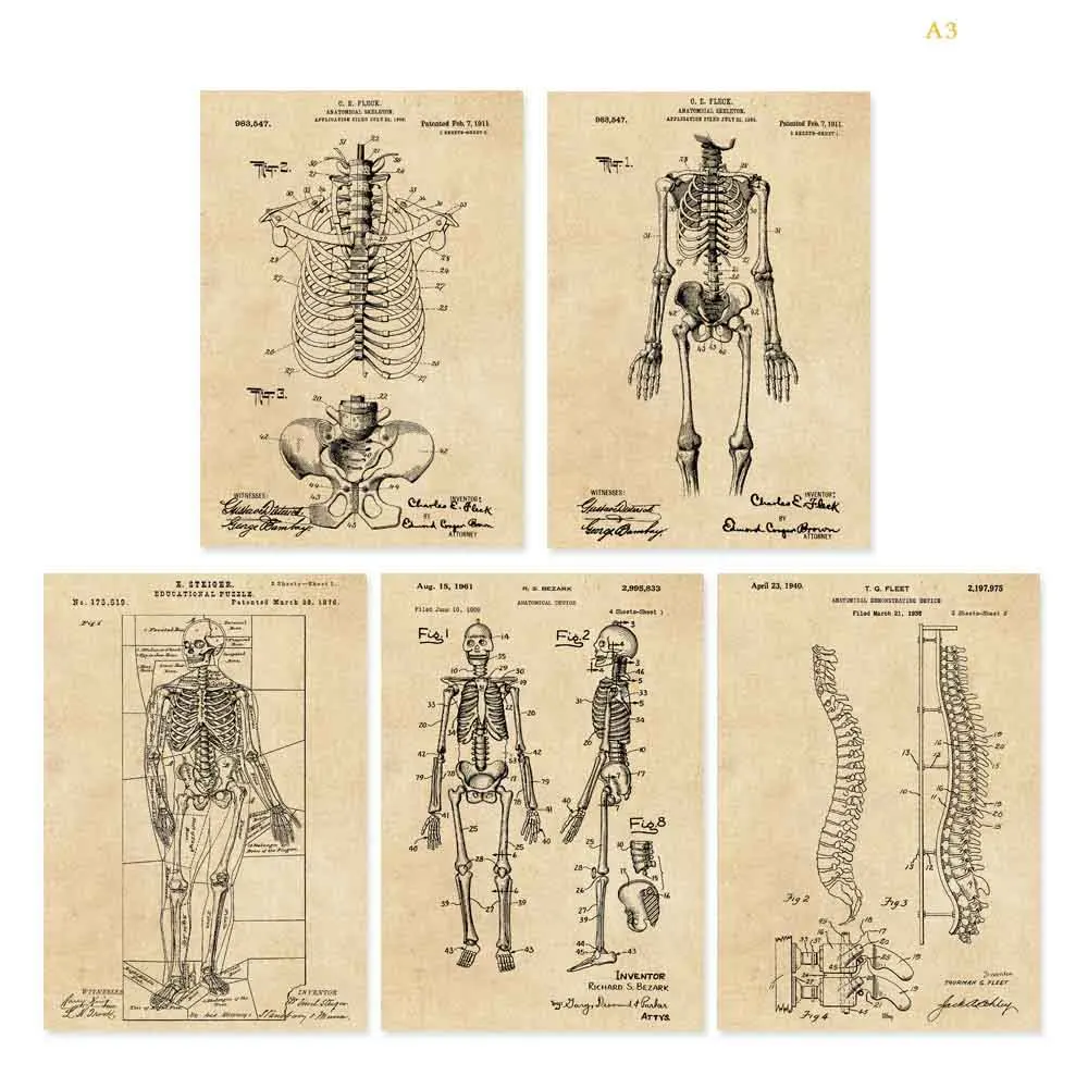 Винтажный лакированный художественный плакат с изображением скелета, анатомический скелет, медицинский скелет, лакированный принт, декор для стен - Цвет: Vintage parchment