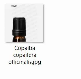 10 мл набор Thuja occidentalis Copaiba copaifera officinalis - Цвет: copaiba