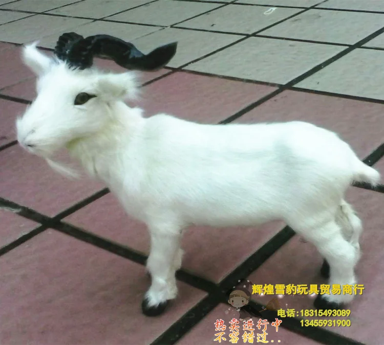 

free shipping , simulation animal 19x17cm white goat toy polyethylene & furs handicraft toy gift k0498