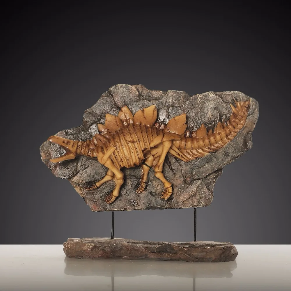 stegosaurus fossils and archeology