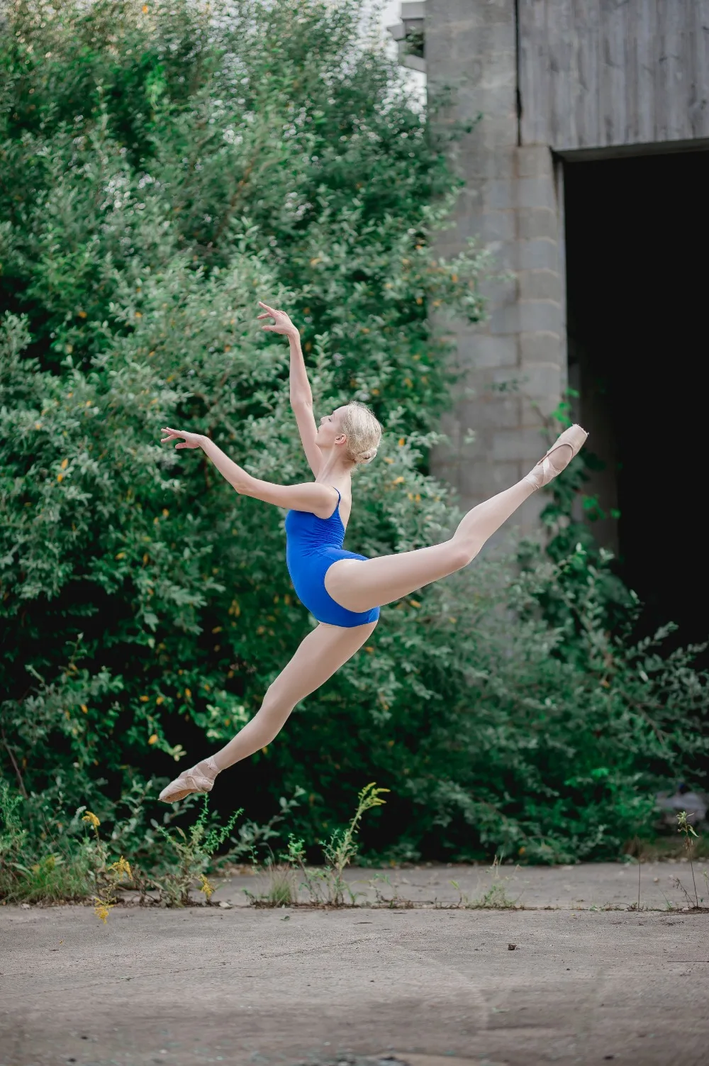 D007-6 Royal Blue (8)