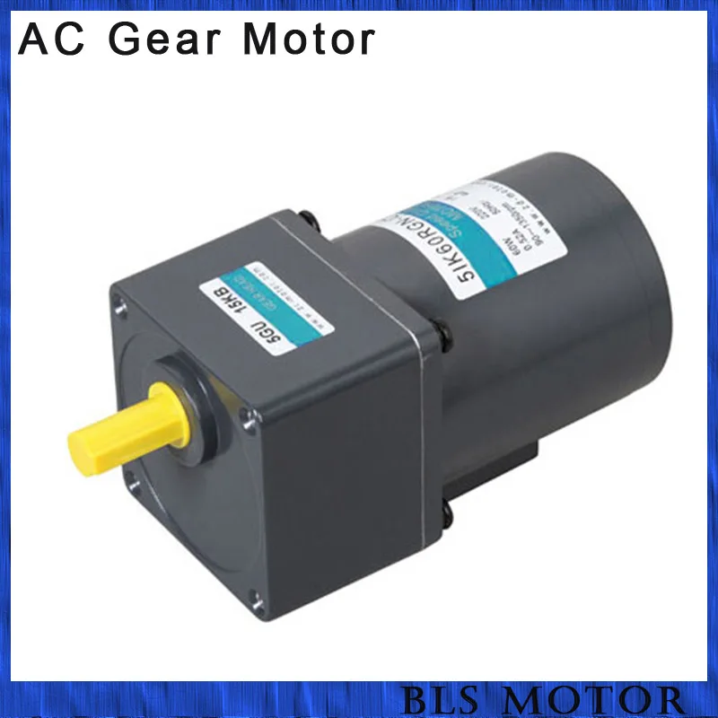 60W ac gear motor with speed controller gear reducer induction motorin