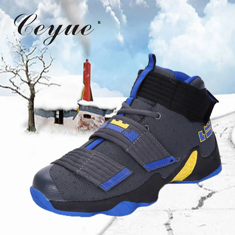 scarpe da basket di lebron james