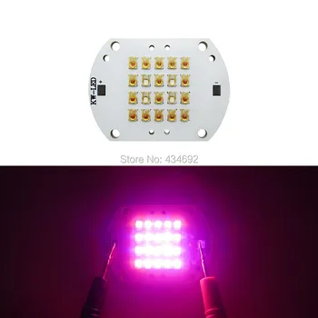 

Customize DIY Rebel 16PCS Red Orange 610-620NM + 4PCS Royal Blue 450-455NM 21-24V 1000-1400mA Plant Grow Led Emitter Lamp Ligh