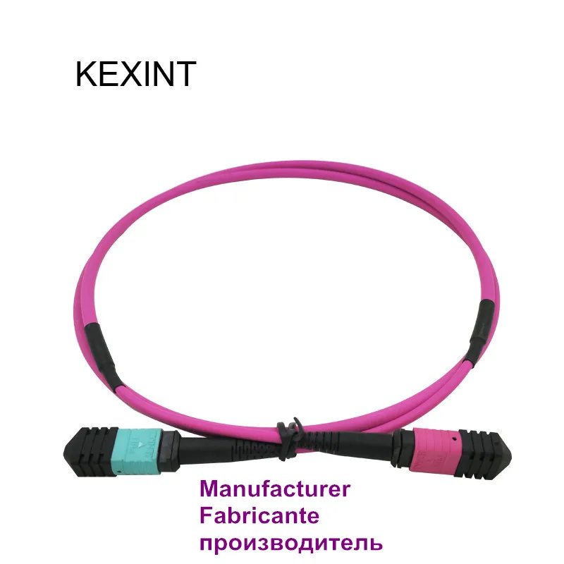 Cavo Patch In Fibra Ottica Mtp-Mtp Om4 24Core 40G 100G Per Data Center