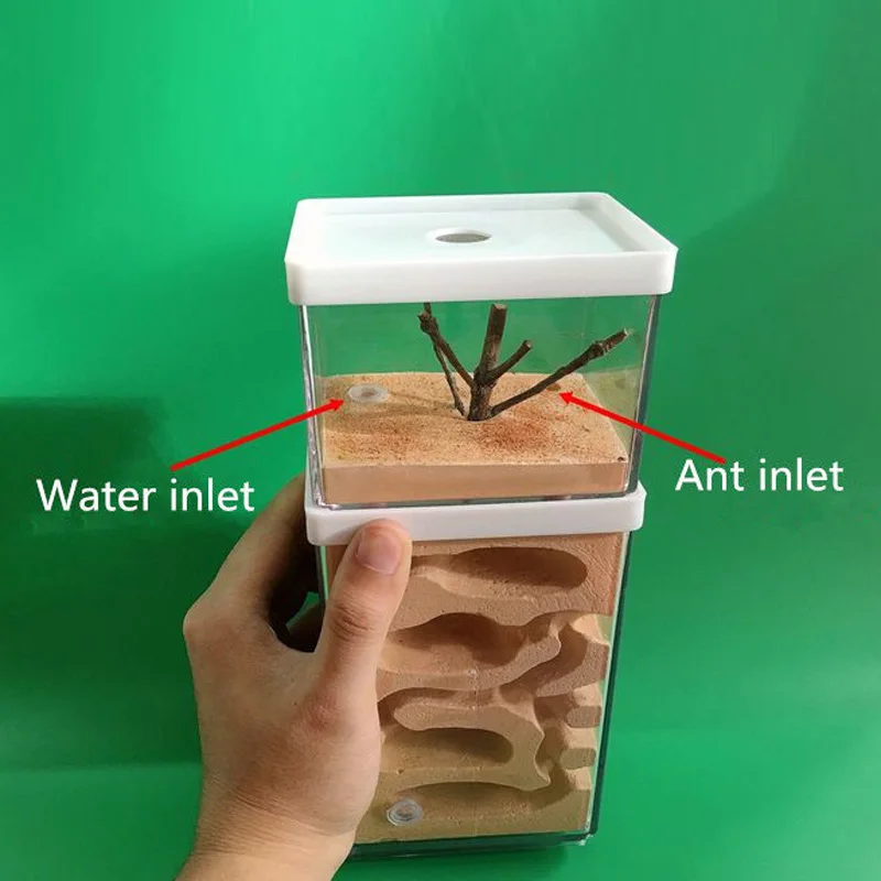 Ant earth Nest Formicarium Housing Ant Farm House For Ant Colony Workshop 