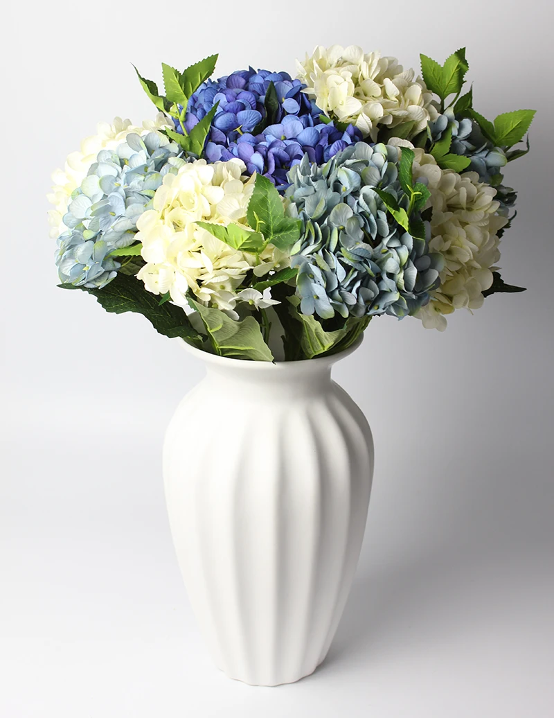 4white3deepblue3lightblue
