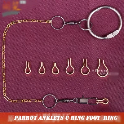 Free shippping The cheapest parrot anklets U ring foot Bird frame chain | Дом и сад