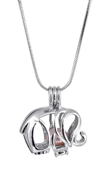 

ZJYBXF Indian Style Silver Dream Catcher Cage Pendants Dreamcatcher Beads Pearl Cage Pendant Essential Locket For Necklace 5PCS