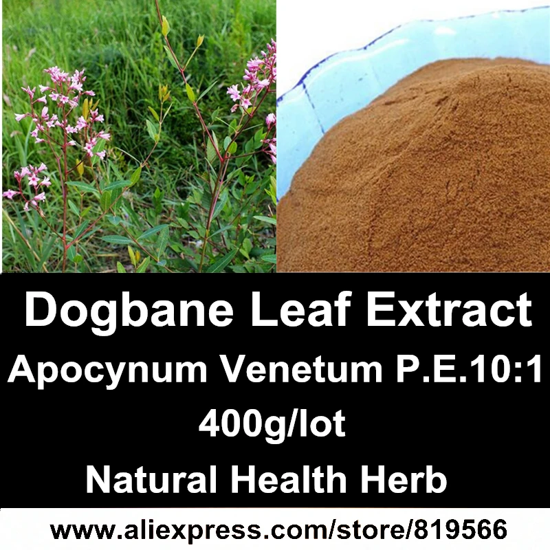 

Wild Dogbane Leaf Extract Powder 10:1 Natural Apocynum Venetum Health Care Hypertension Dietary Supplements