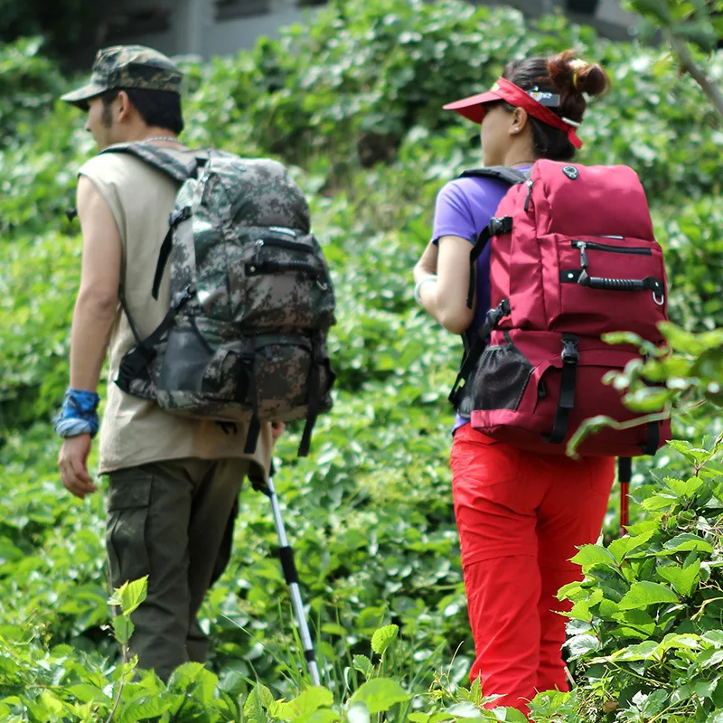 2912382685_1336653081
