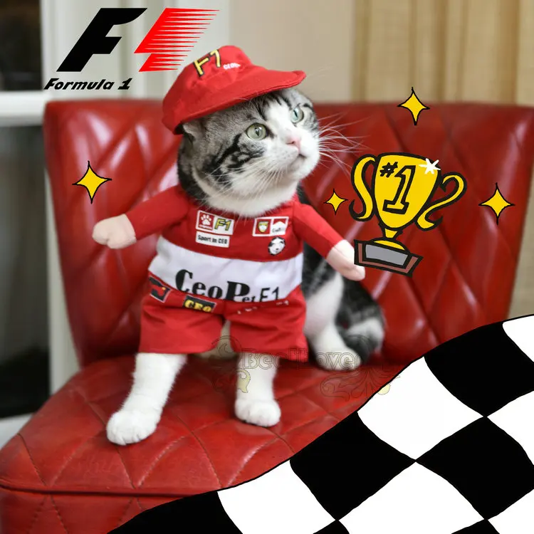 Pet костюм забавный кот Racer стоя костюм Косплэй одежда для маленький средний Товары для собак Щенок партия Хэллоуин куртка пальто