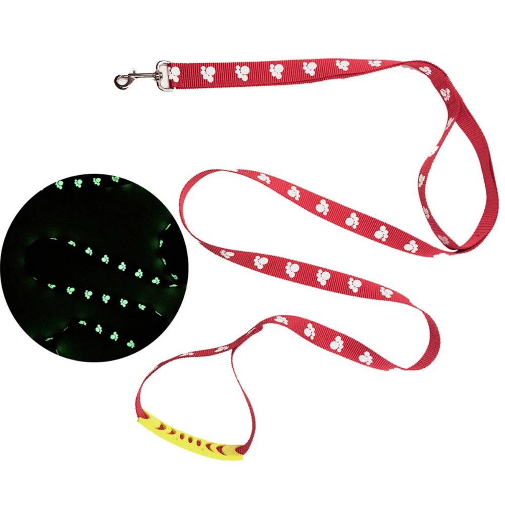 Buy PACGOTH Pet Dog Leashes Leads Glow In the Dark