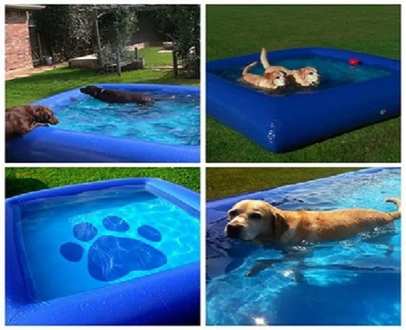 customized-style-pvc-summer-swimming-pool-inflatable.jpg_350x350