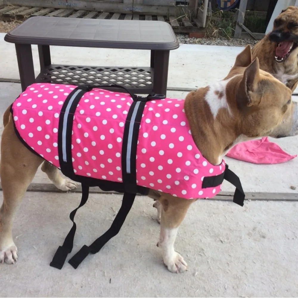 Pink dot