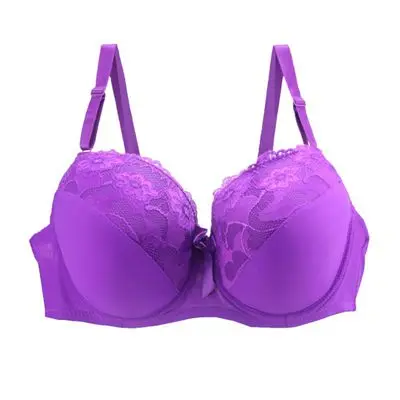 Elegant Lace Plus Size Women's Lingerie Bra