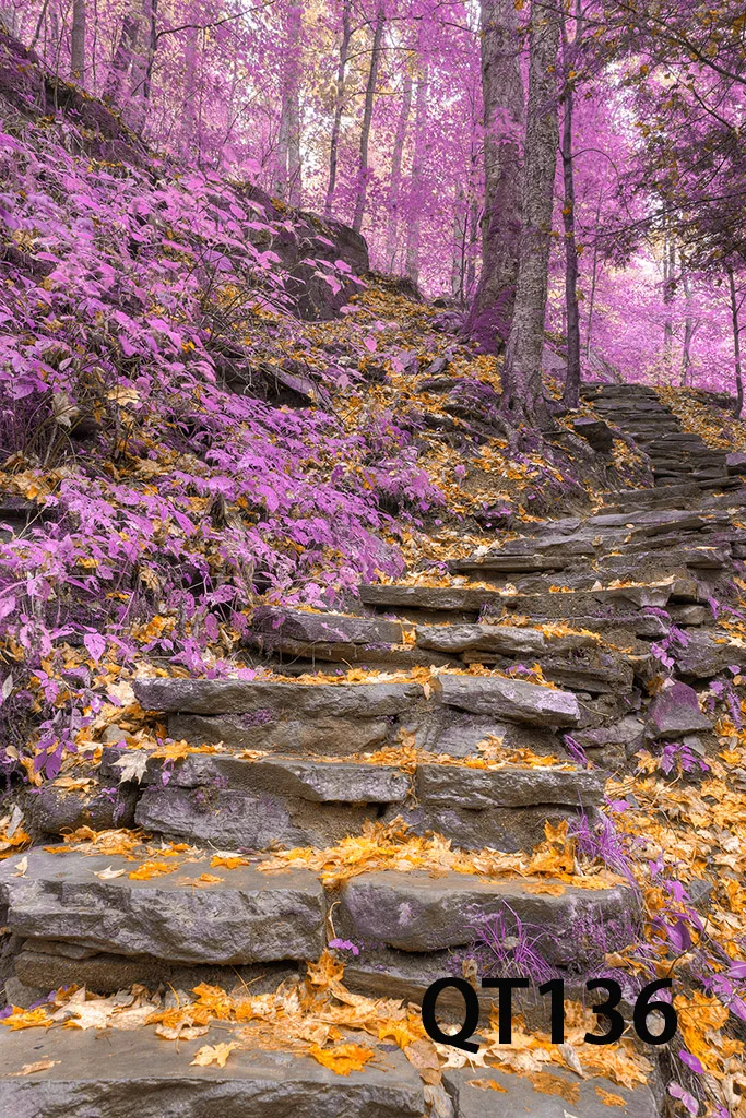 QT136
