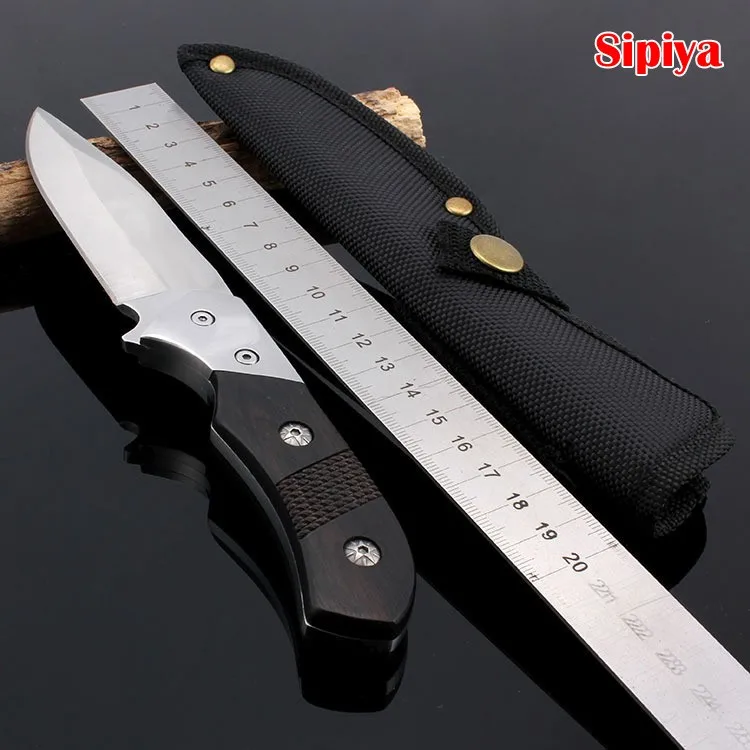 1913645426_731435421