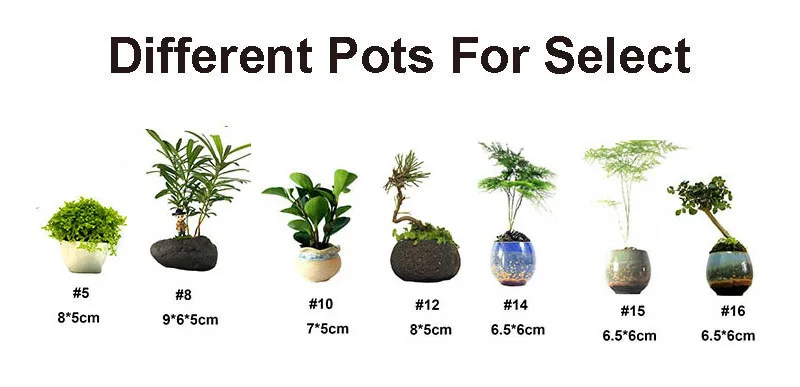floating pot-4