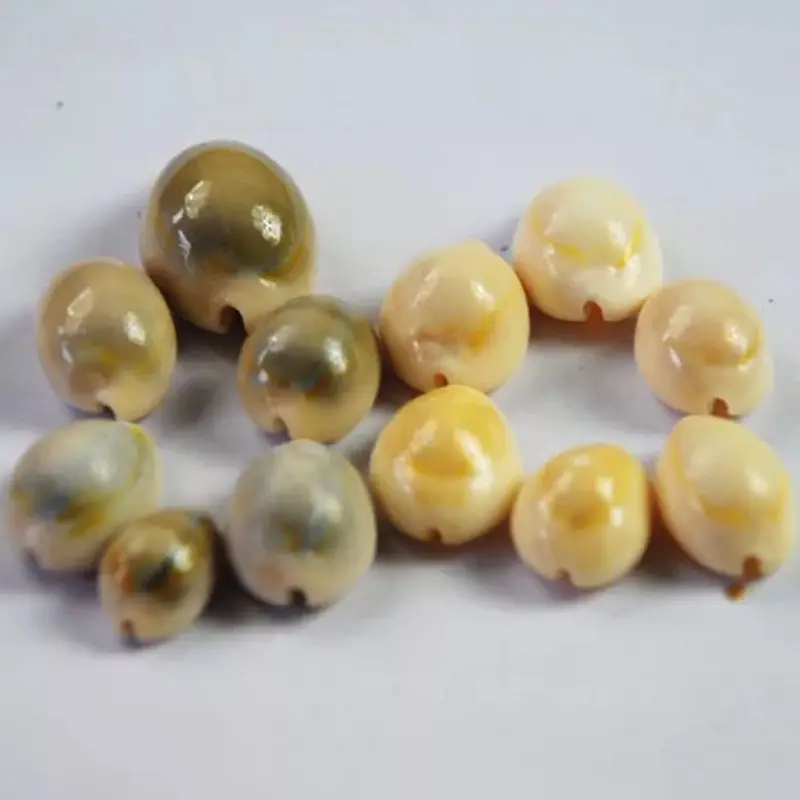 50 шт./компл. милые Natural Sea Shell Loose Beads аксесуары 14-16 мм раковины орнамент в форме ракушки декора аквариума