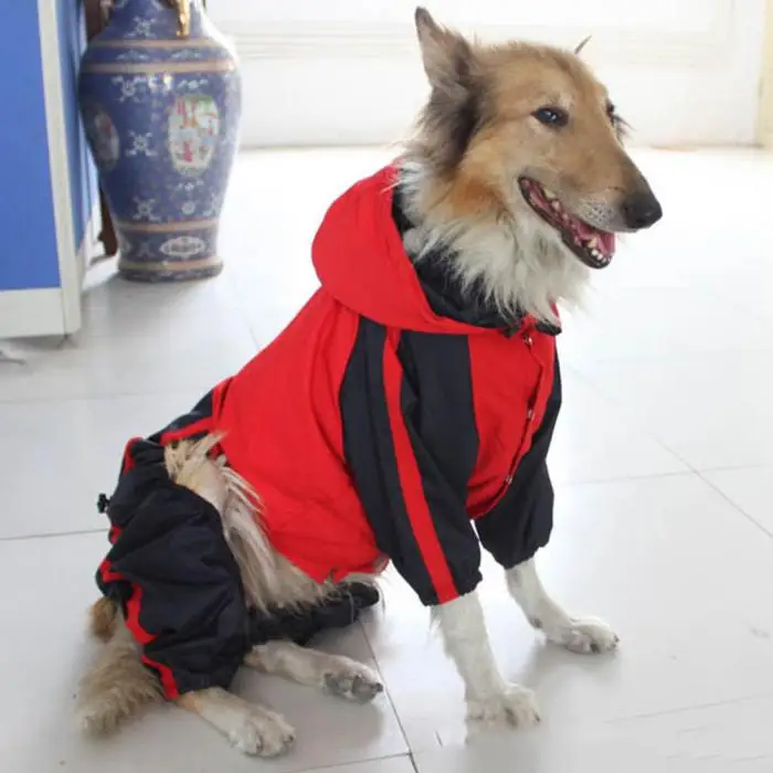 Одежда для собак, дожддожддождевик, дождевик, водонепроницаемый дождевик, 4 ноги, дождевик для маленьких, средних и больших собак, Прямая поставка, BDF99