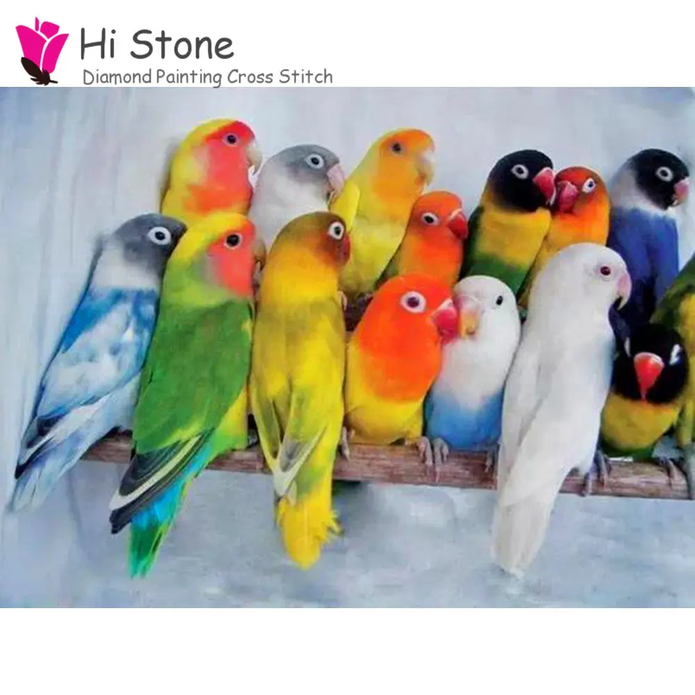 птичий рынок москва волнистые попугаи. скребицкий текст про попугая. попугаи в зоомагазине. золотая аратинга.