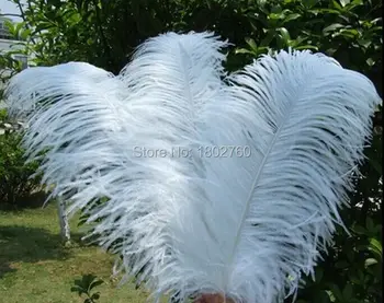 

Wholesale 10pcs / lot high quality white ostrich feathers 20-22 inches 50-55 cm Wedding decoration