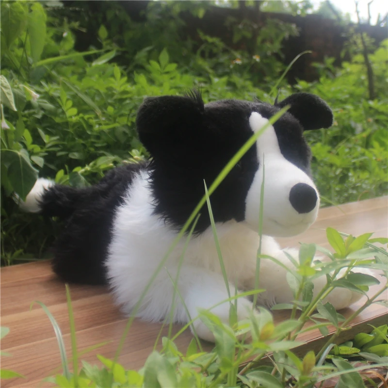 simulation animal dog plush  toy doll realistic border collie dolls pet animals for children friends gift decoration 24inch 60cm DY50409 (2)