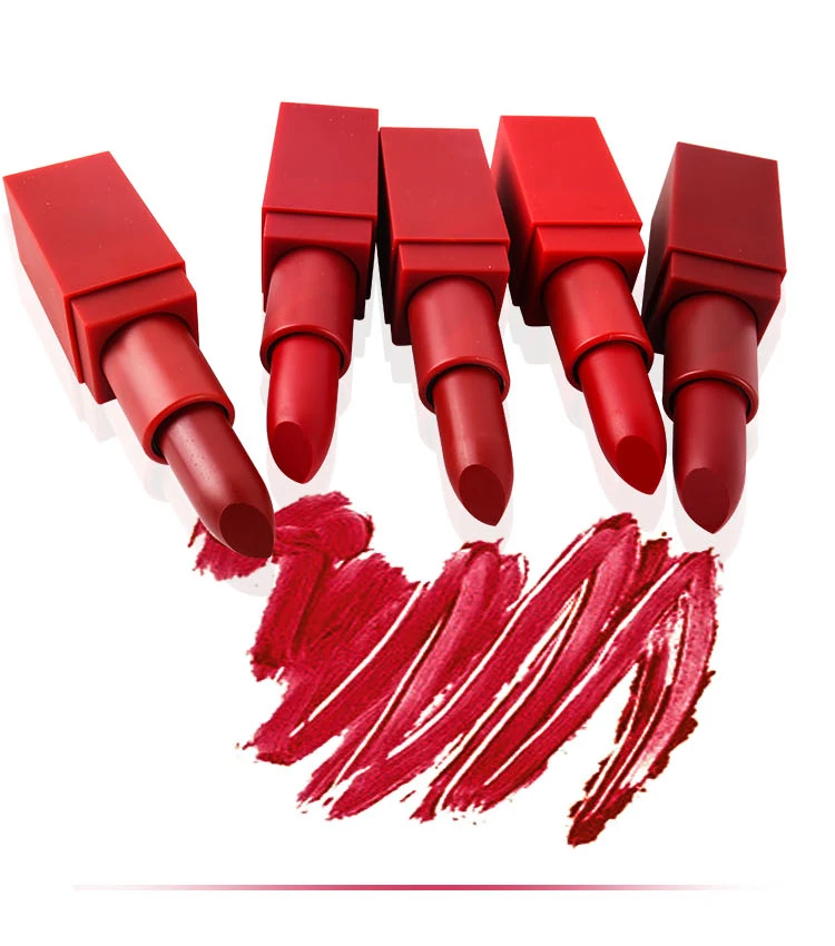 UBUB 5 Colors Lipstick Smooth Moisturizing Long-lasting Waterproof Lip Stick Brown Matte Lip Stick Nude Red Velvet Lipsticks Set (10)