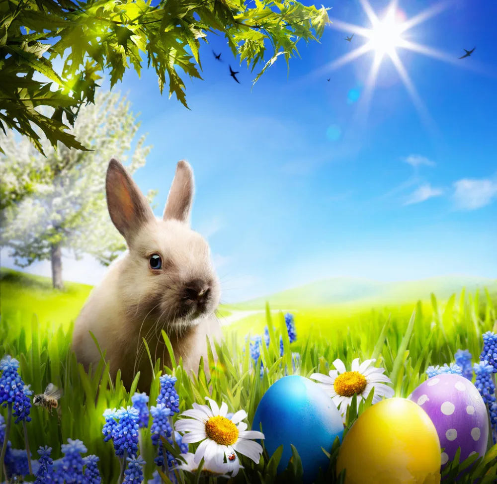 

10X10FT Easter  theme Vinyl Photography Backdrop Prop Photo Studio Backgrounds FH-294